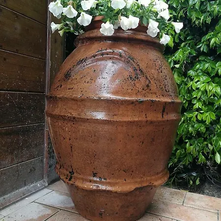 Da Cinzia * Vecchiano